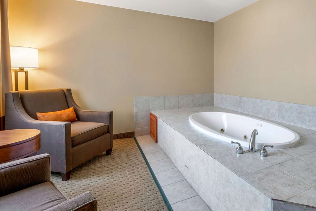 Comfort Suites Burlington - photo 10