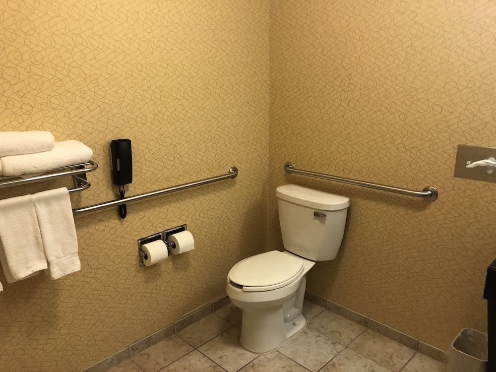 Holiday Inn Express Hotel & Suites Lansing Dimondale by IHG - photo 35