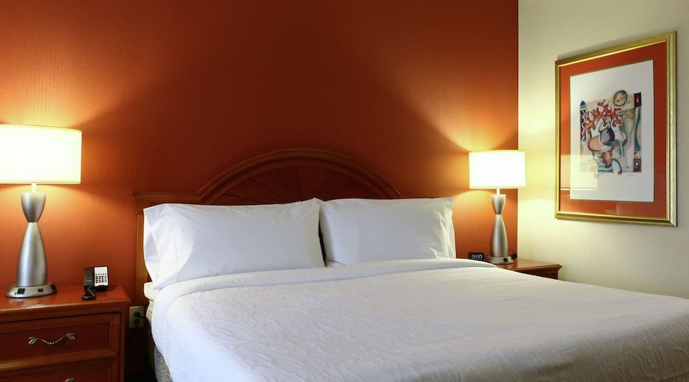 Hilton Garden Inn Secaucus Meadowlands - photo 14