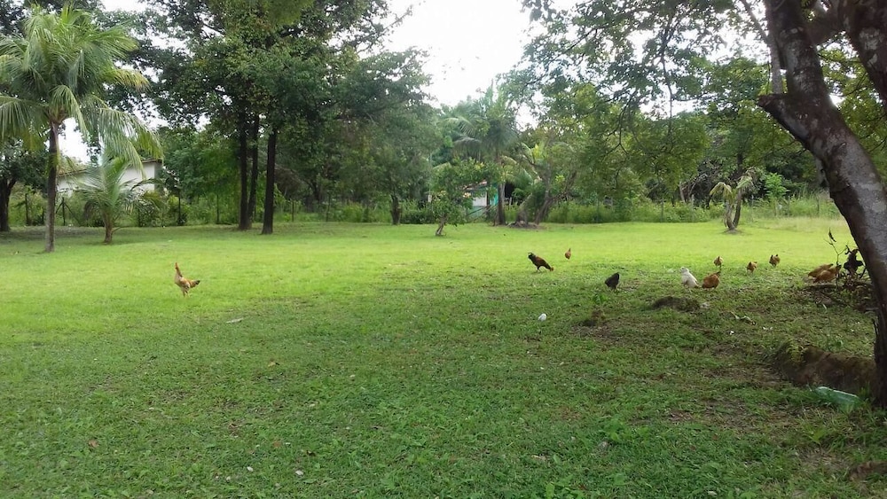 Pousada Recanto do Sol in Belem, Brasil
