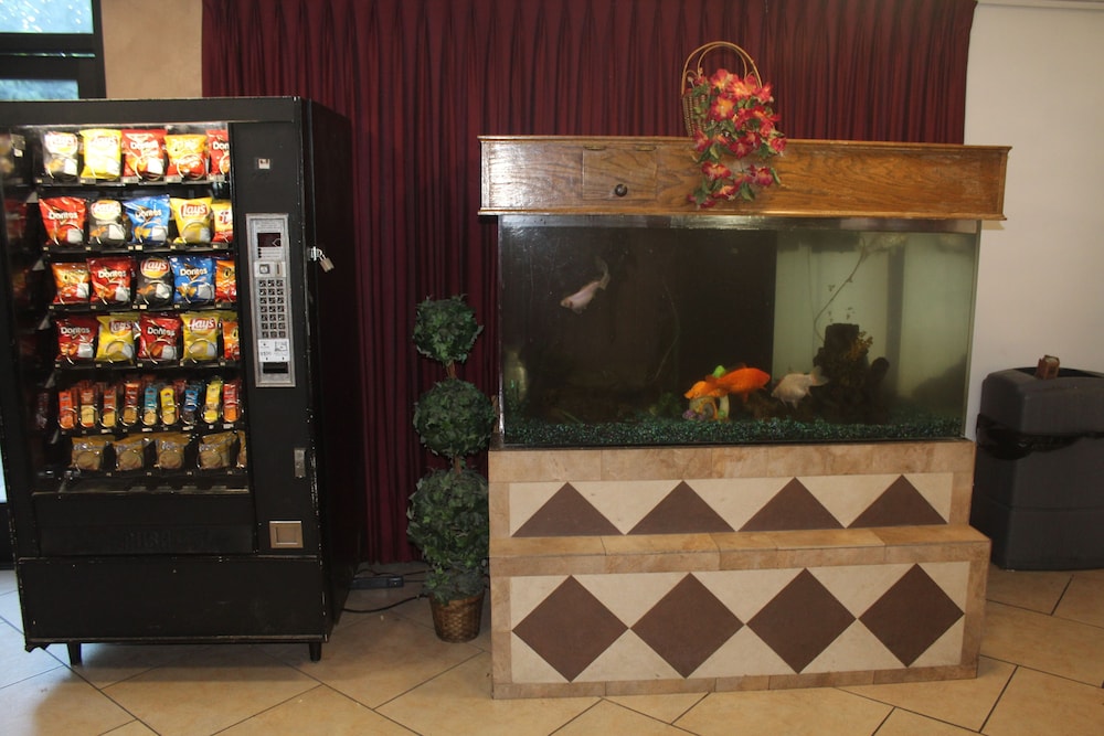 Shalimar Hotel of Las Vegas - photo 6