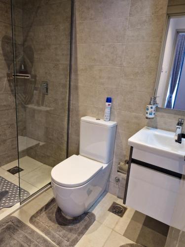 Modern 1 Bedroom Apartment with Pool Gym Sauna Wilma Towers Kilimani Nairobi Twiga Suites