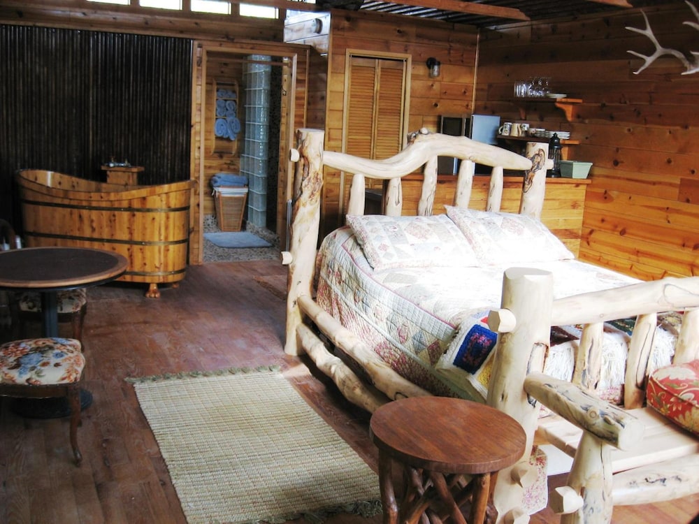 Shady Lady Bed & Breakfast - photo 13