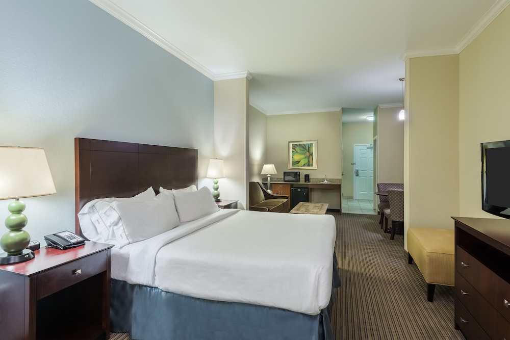 Holiday Inn Express Hotel & Suites New Iberia Avery Island by IHG - photo 9