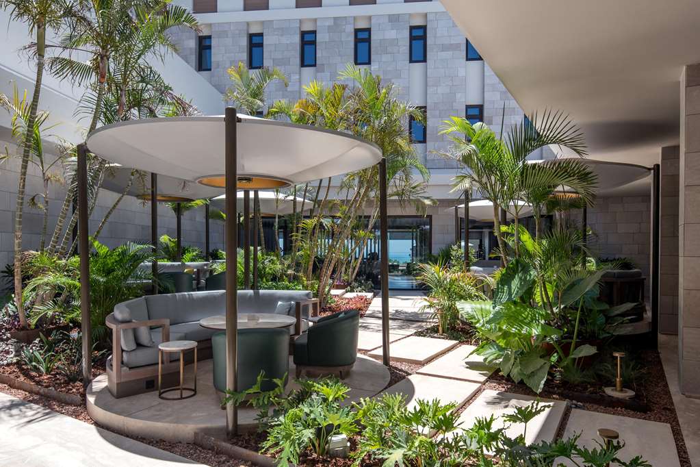 מראה חיצוני