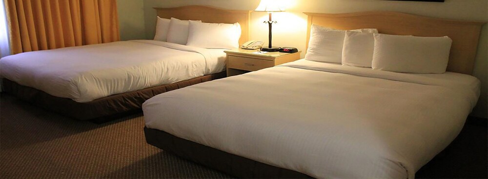 Isle of Capri Casino Hotel Lula A Caesars Rewards Destination - photo 3