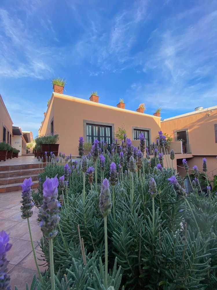 Hotel Boutique Hacienda Guadalupe in San Miguel De Allende, Mexico
