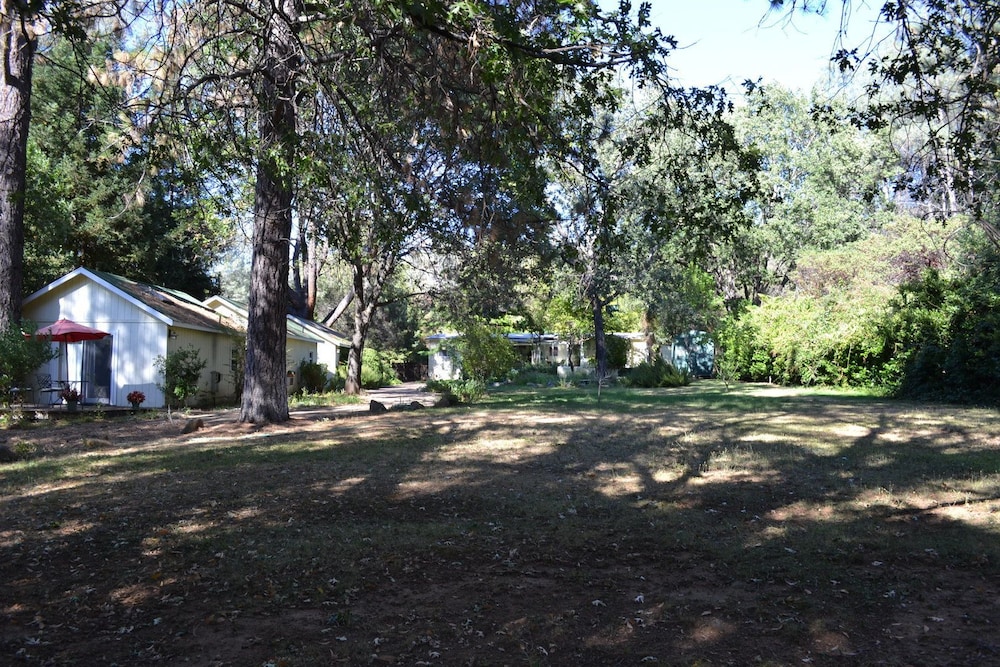 Backyard Garden Oasis - photo 71