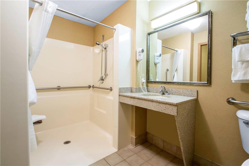 Comfort Suites Wisconsin Dells Area - photo 10