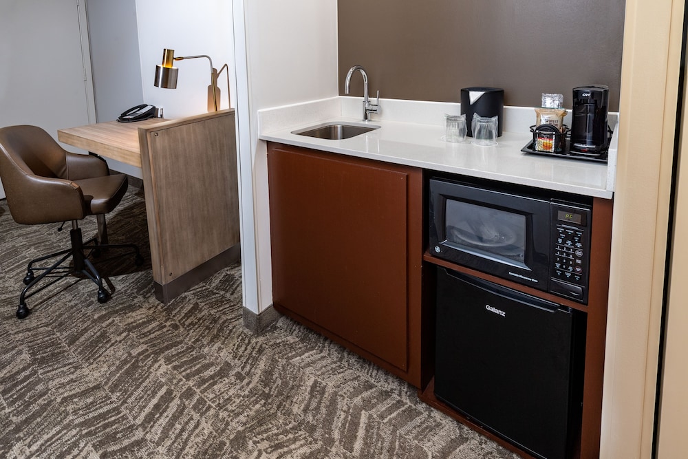 SpringHill Suites Houston Medical Center NRG Park - photo 8