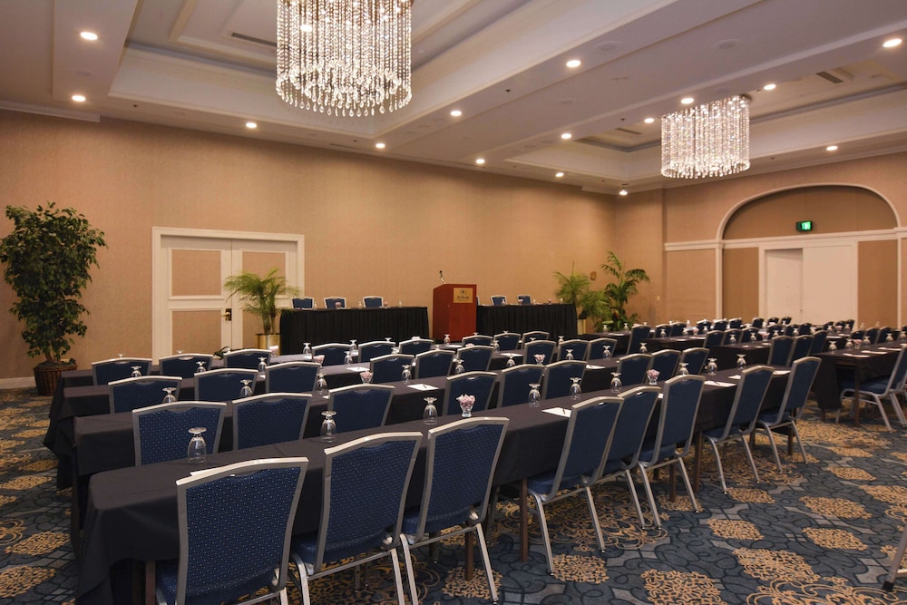 Hilton Palm Beach PBI - photo 171