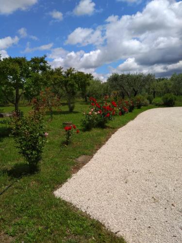 Casa Vacanze Le Rose — 4-Star Luxury Hotel in Ariccia, Italy