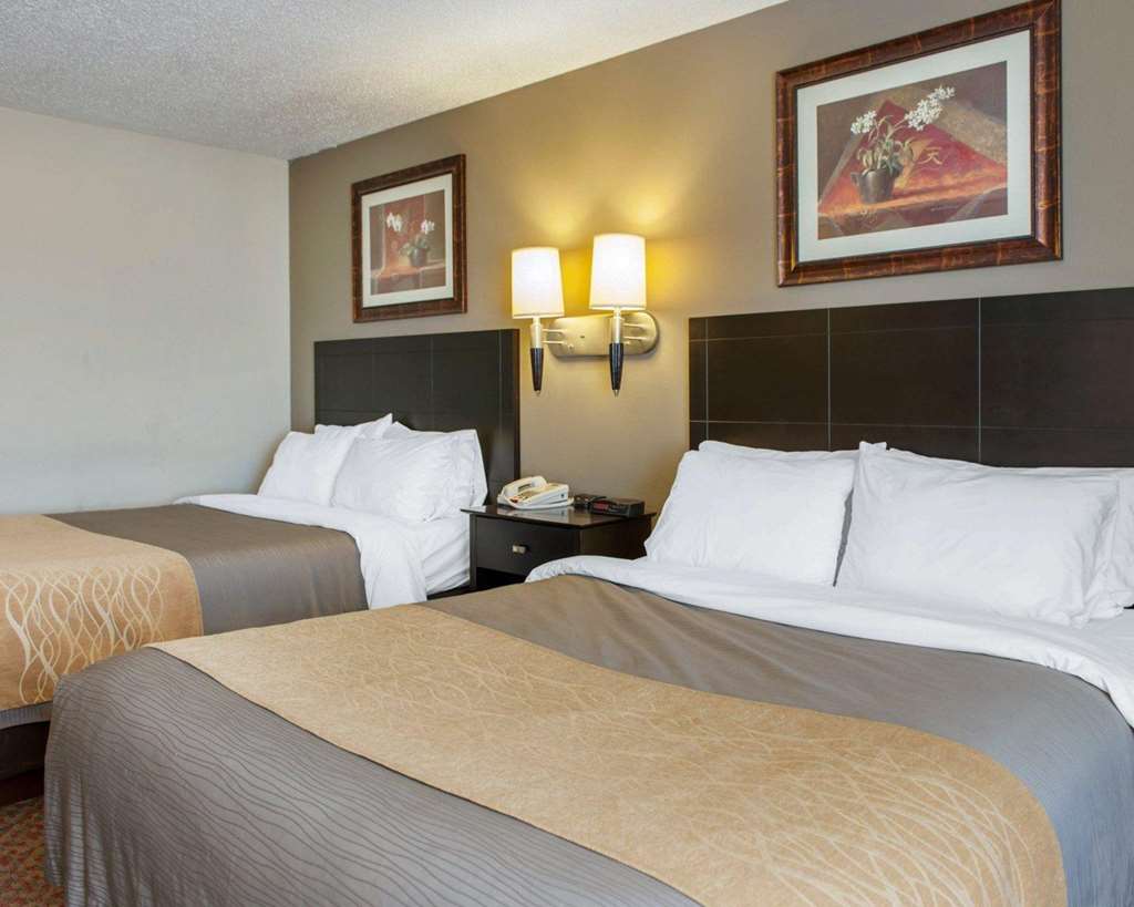 Comfort Inn Near Ouabache State Park - photo 18
