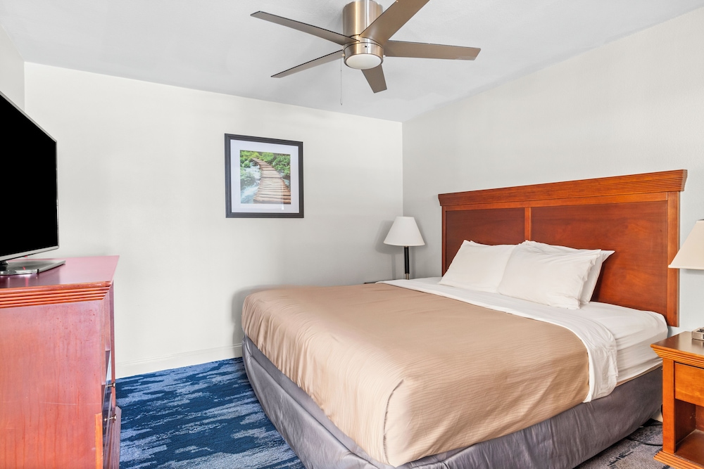 Richland Inn of Columbia - photo 18