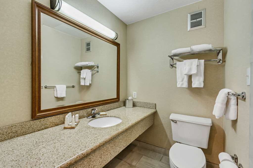 Radisson Hotel Salt Lake City Airport - photo 32
