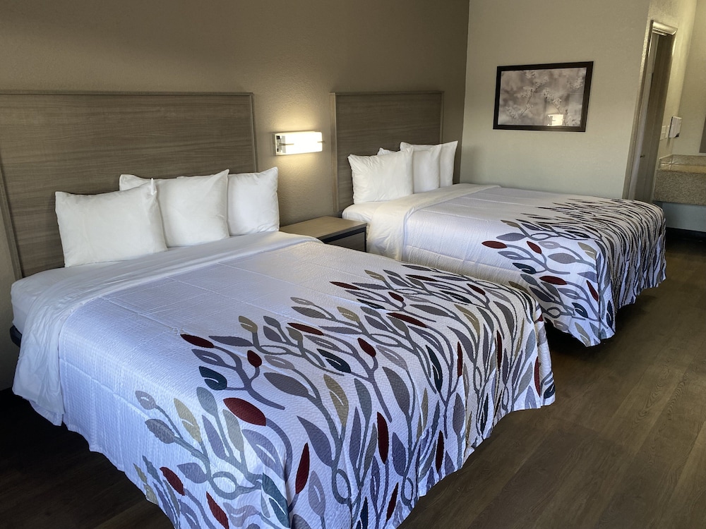 Red Roof Inn Jacksonville AL - photo 10