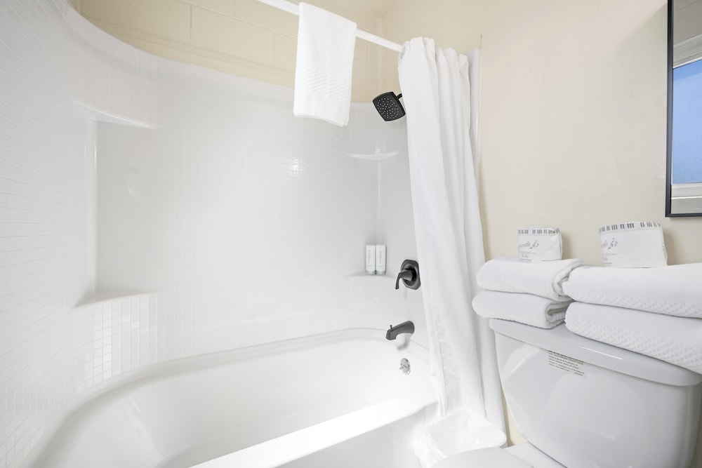 Econo Lodge Inn & Suites Heavenly Village Area - photo 29
