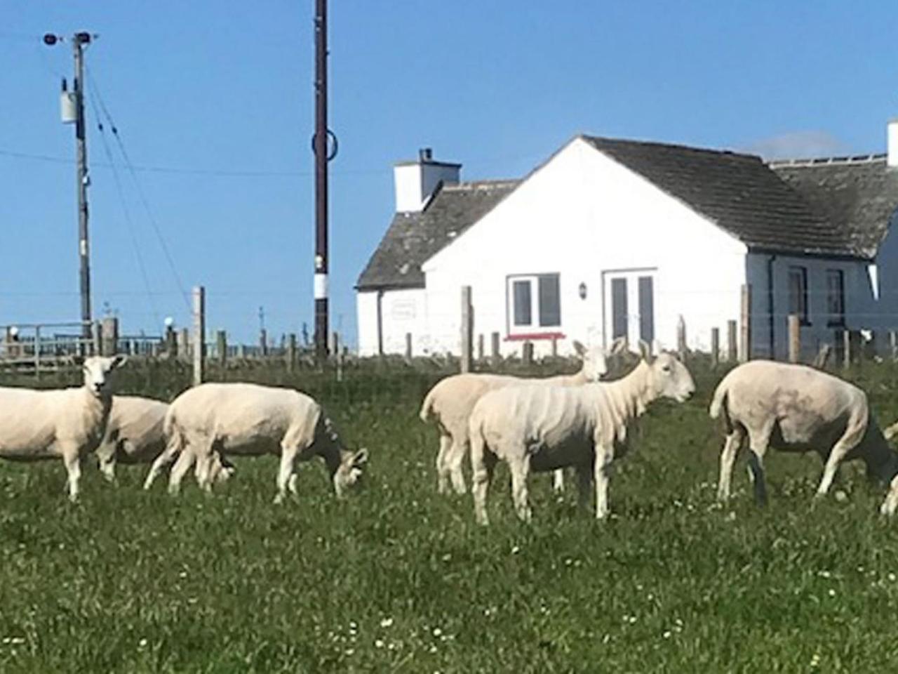 Cranberry Cottage — 4-Star Luxury Hotel in Wick, United Kingdom