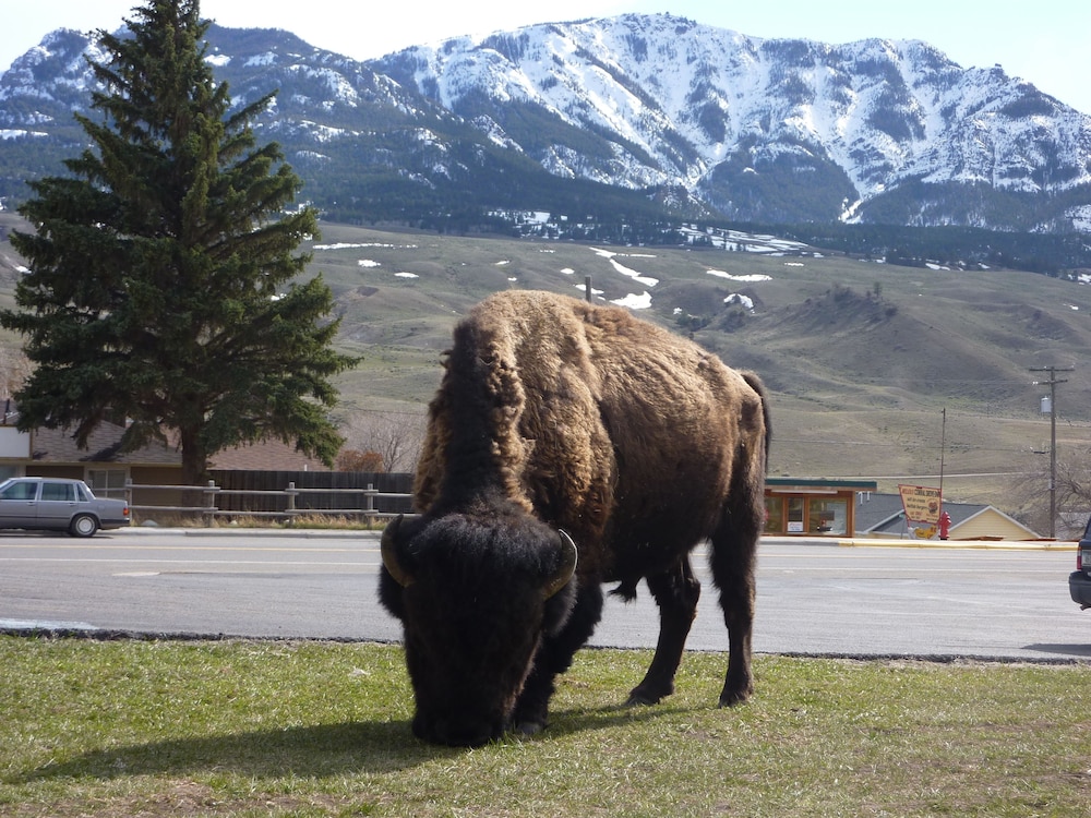 Yellowstone Gateway Inn - photo 117