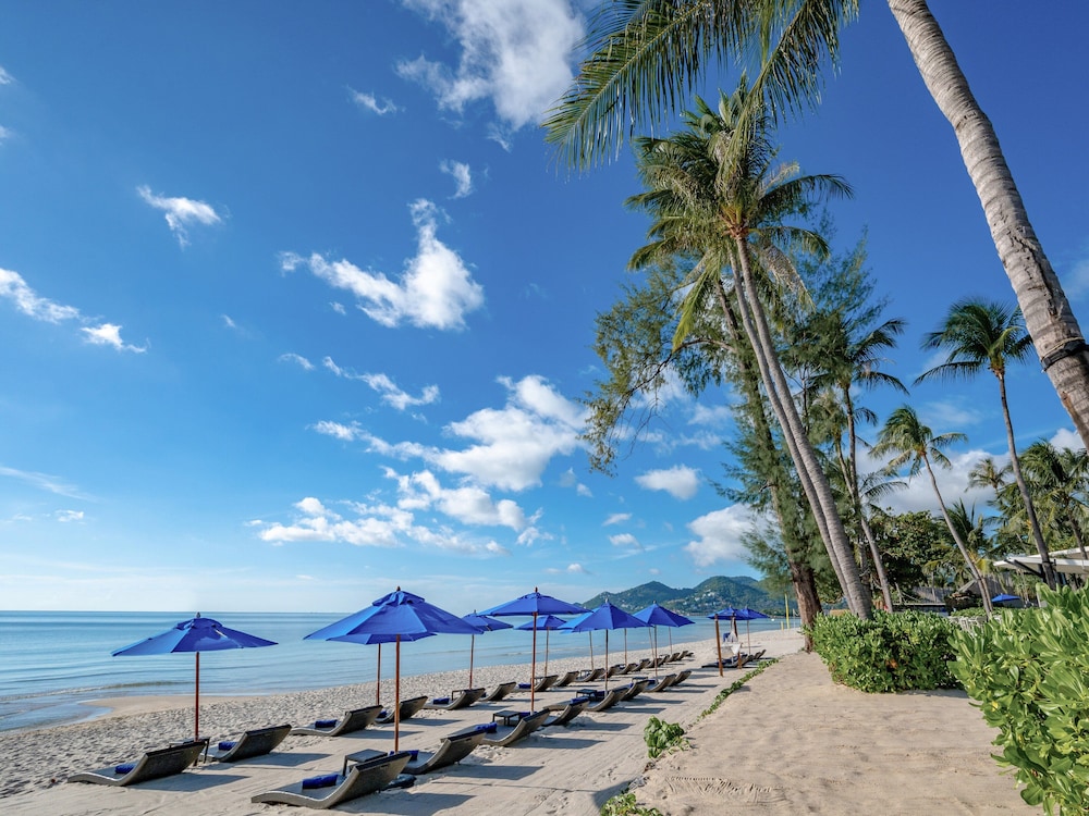 מראה חיצוני