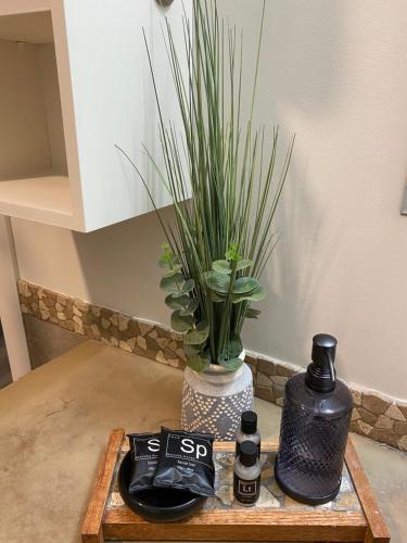 Spectacular Penthouse With Amazing Views Indoor Pool and Hot tub in Canmore, Canada