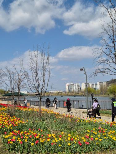 Staylim Seoul Botanic Park Airport — 4-Star Luxury Hotel in Seoul, South Korea