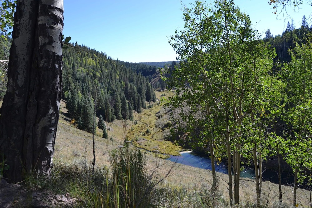 Arrowhead Mountain Lodge - photo 24