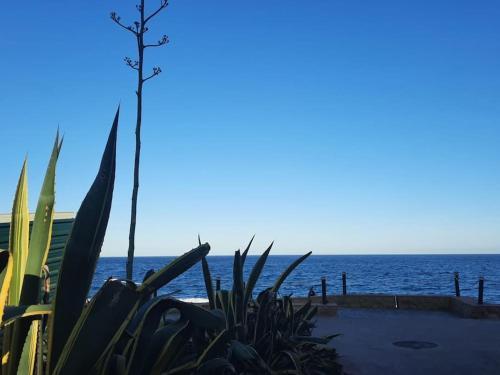 At Jardines Del Mar in Manilva, Spain