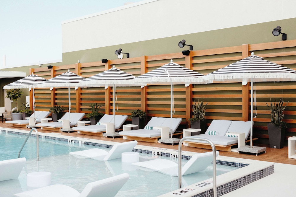 The Hiatus Clearwater Beach Curio Collection By Hilton - photo 61