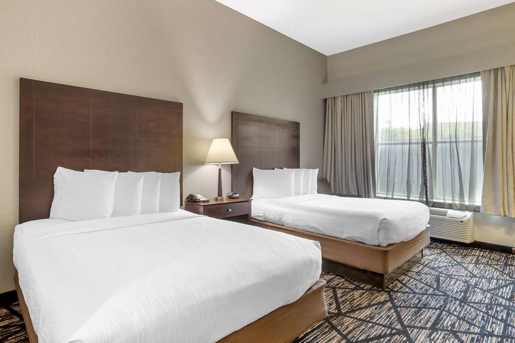 Best Western Plus Hobby Airport Inn & Suites - photo 4
