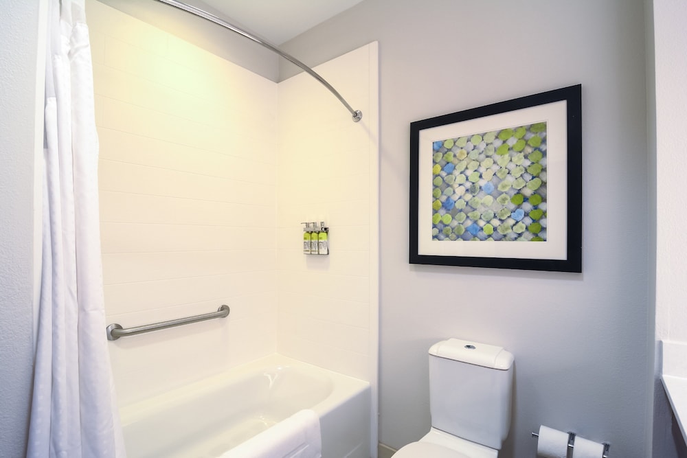Holiday Inn Express & Suites Tampa USF Busch Gardens by IHG - photo 25