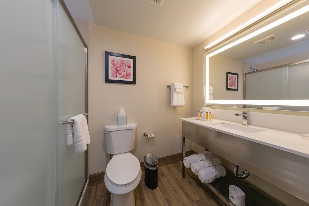 Holiday Inn Brookfield Milwaukee by IHG - photo 17