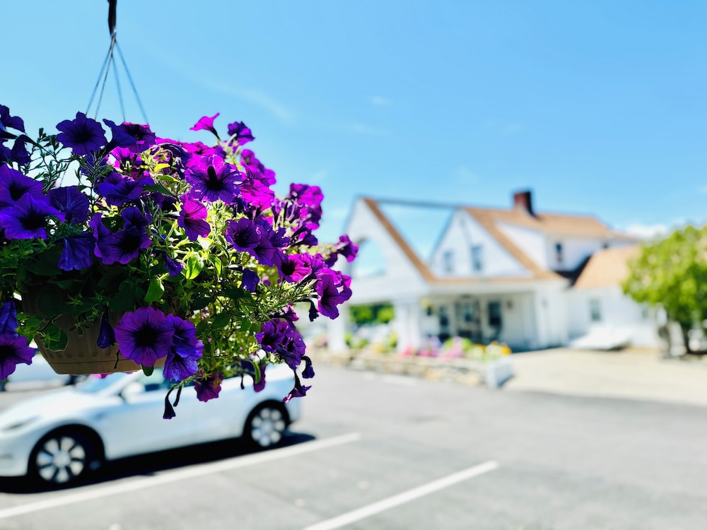 Blue Spruce Motel & Townhouses - photo 35