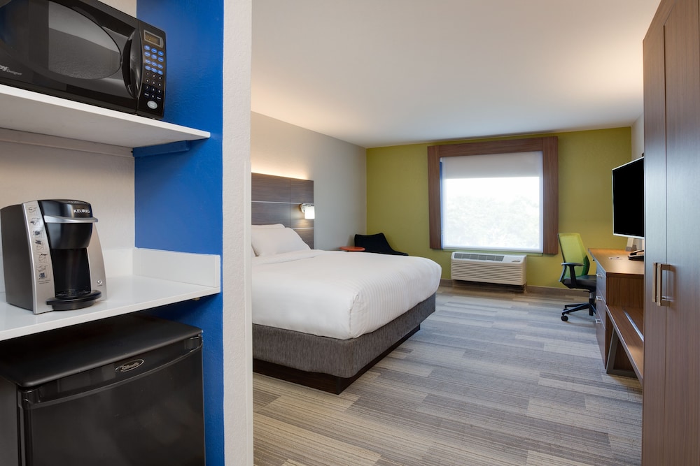 Holiday Inn Express Hotel & Suites Tampa Fairgrounds Casino by IHG - photo 14