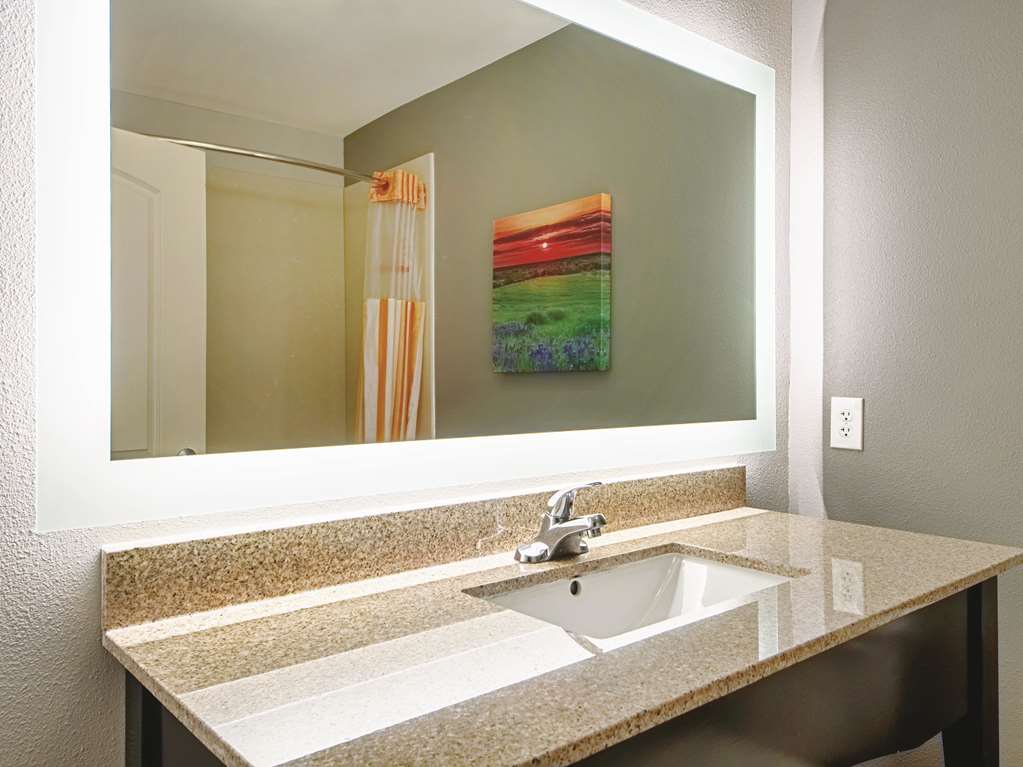 La Quinta Inn & Suites by Wyndham McKinney - photo 11