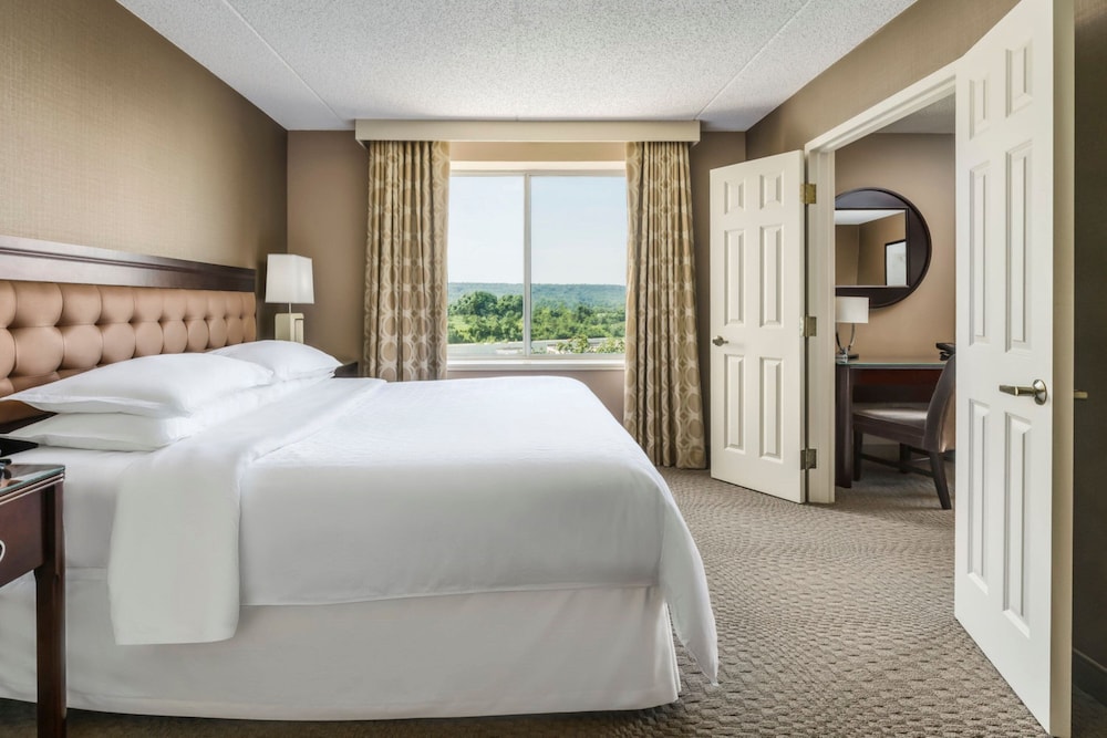 Sheraton Great Valley Hotel - photo 15