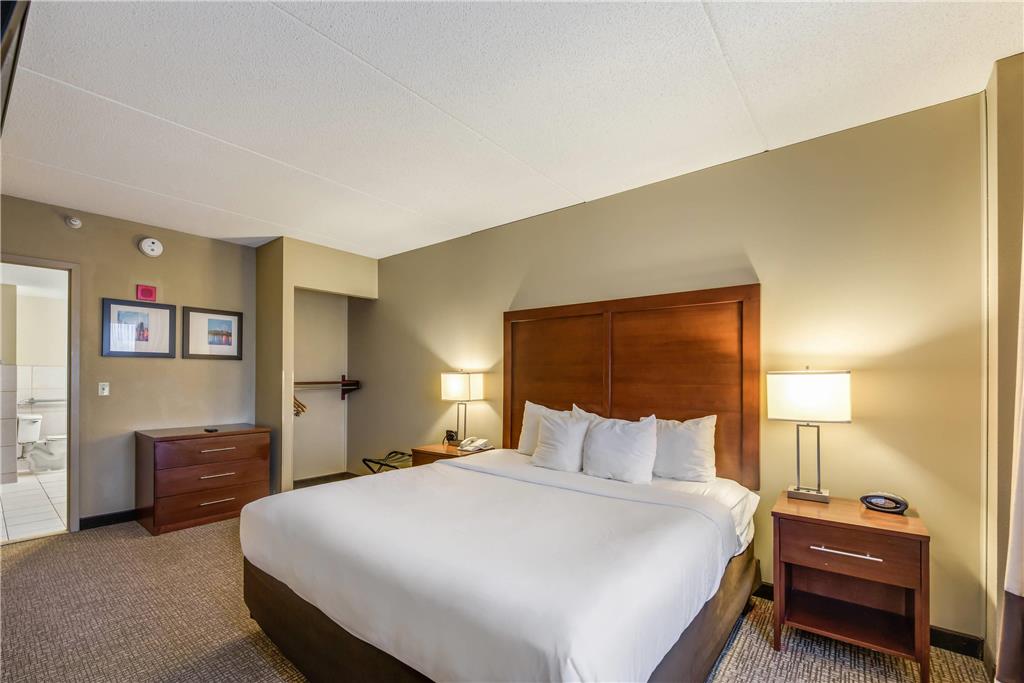 Comfort Suites Chicago O'Hare Airport - photo 21