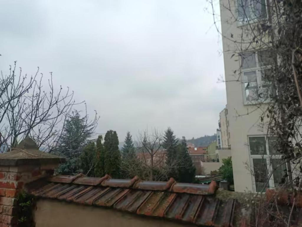 Barokni Apartman — Brno — photo 4