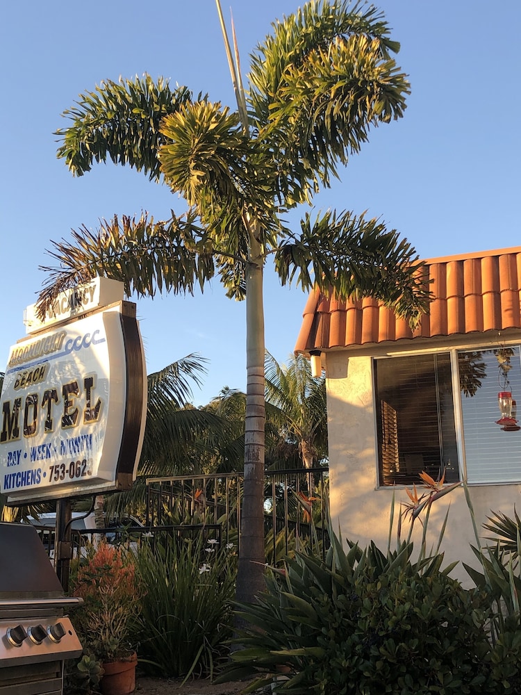 Moonlight Beach Motel - photo 31