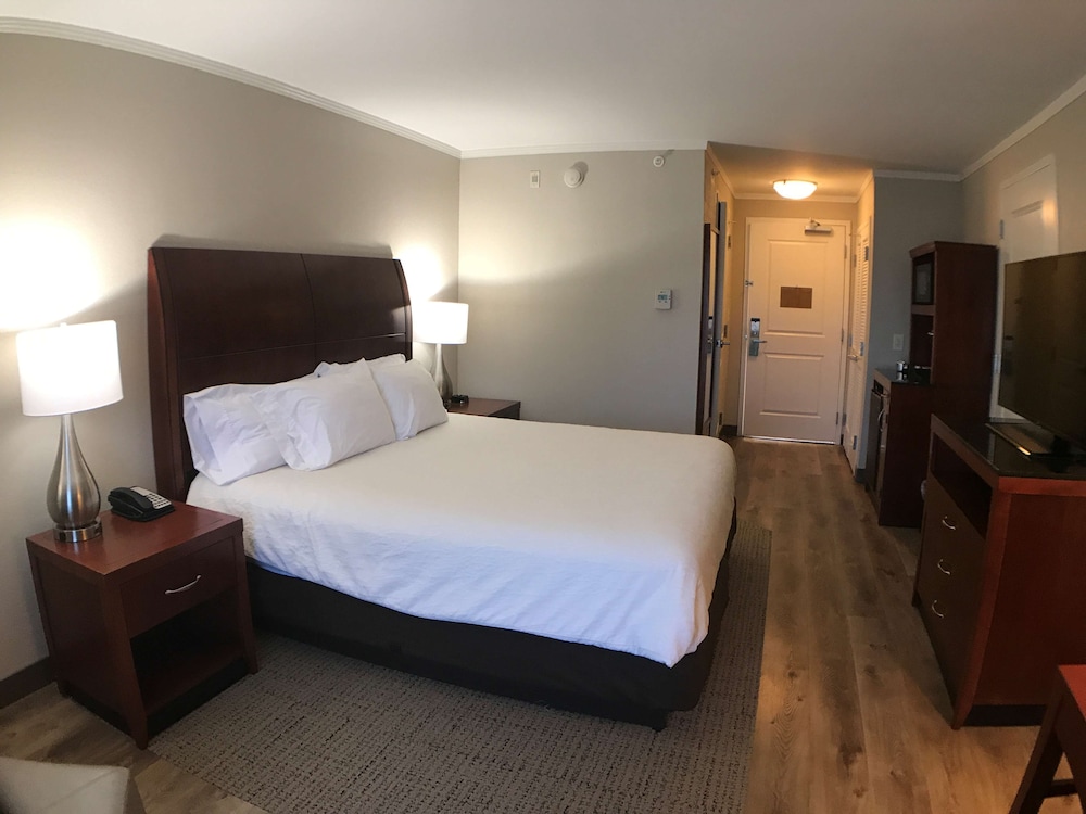 Hilton Garden Inn Bowling Green - photo 30