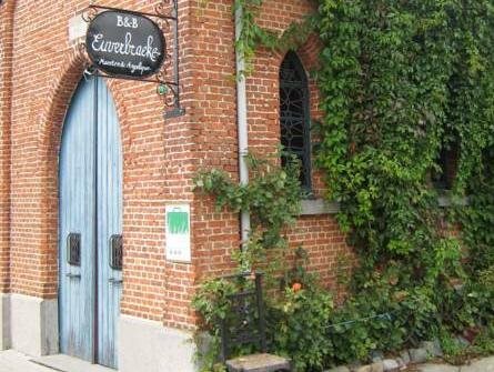 B&B Euverbraeke — Beveren — photo 5