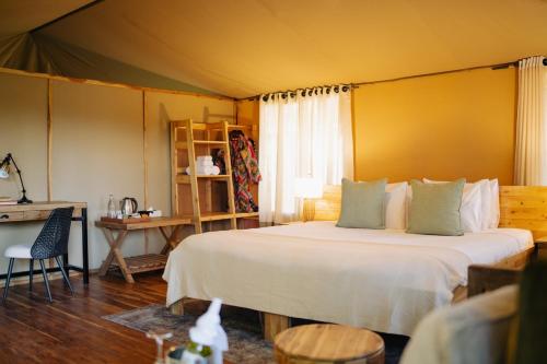 Jackals Lair in Unknown City, Tanzania