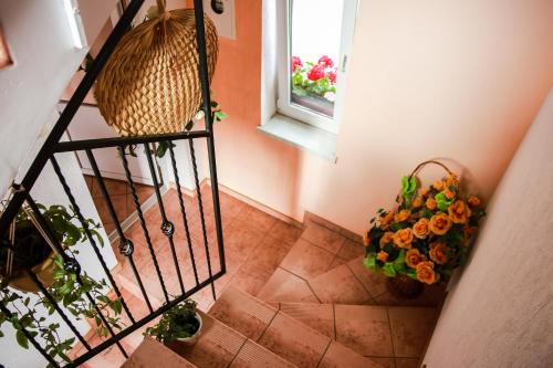 Przystań — Kolobrzeg — photo 4