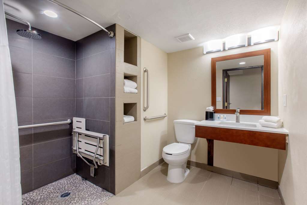 Comfort Inn & Suites Pinetop Show Low - photo 17