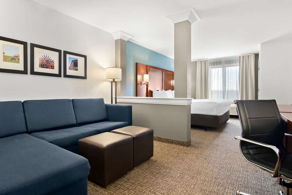 Comfort Suites Rensselaer near Fair Oaks - photo 12