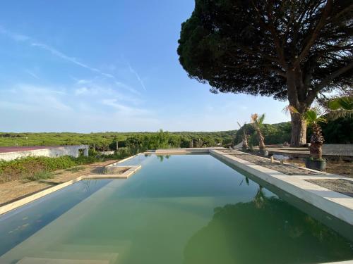 Stone Pines Eco Glamping - last minute hotel in Unknown City