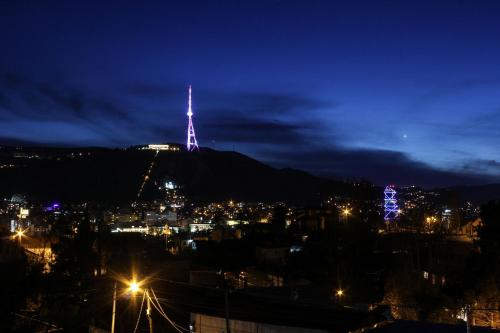 Panorama of Tbilisi