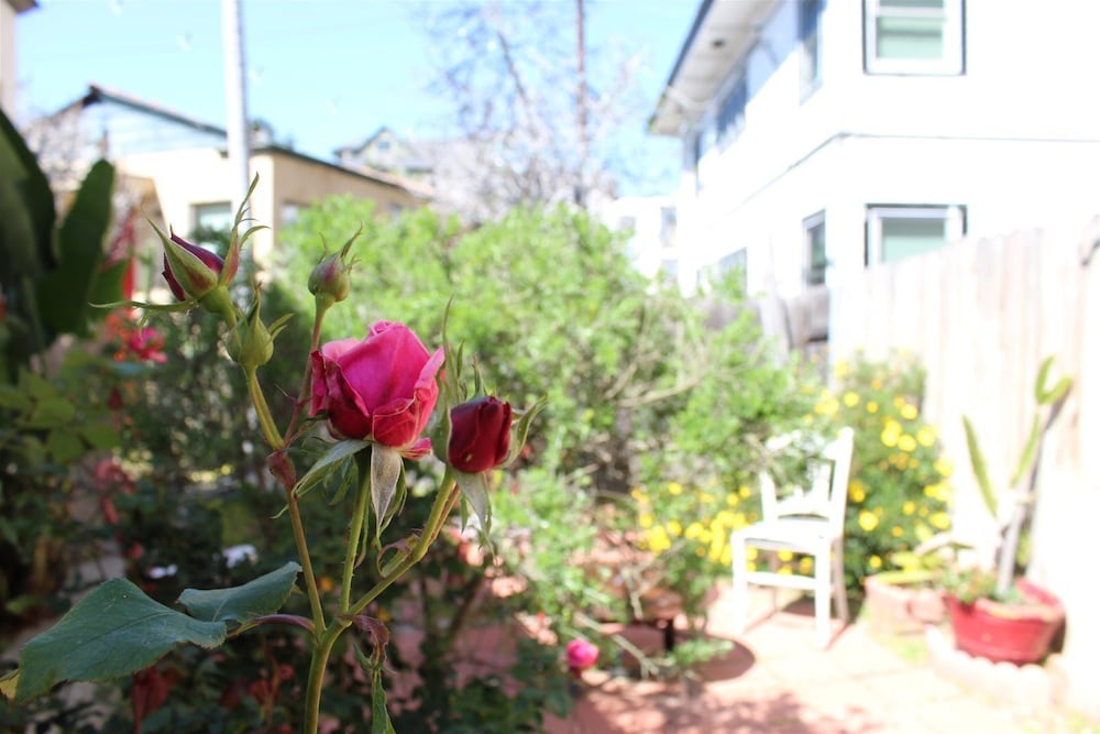 Orange Tree Cottages Downtown - photo 122