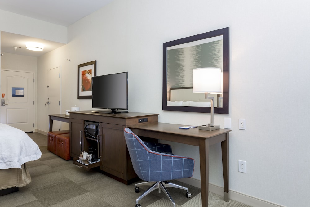 Hampton Inn Santa Barbara Goleta - photo 9