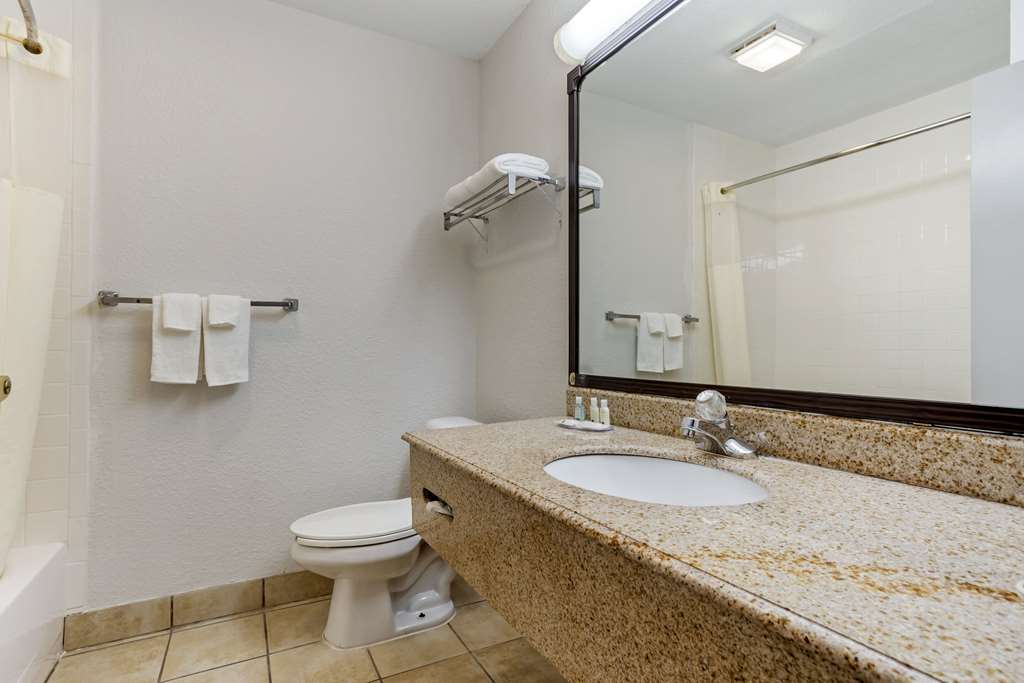 Quality Inn & Suites NRG Park Medical Center - photo 13